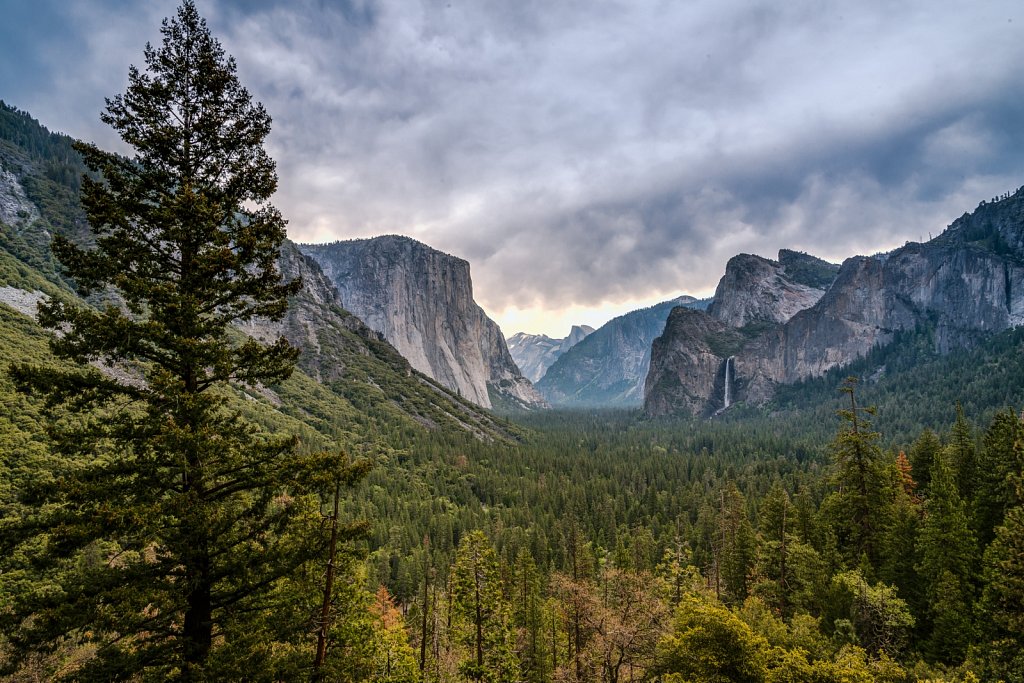 Yosemite treasures