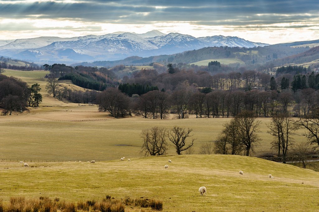 Ecosse, Loch, Whisky et paysages sauvages